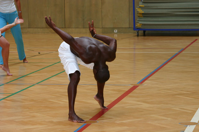 doe2008_155