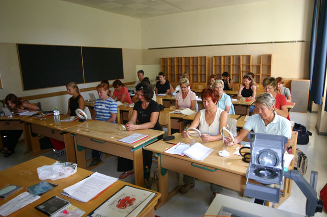 doe2008_218