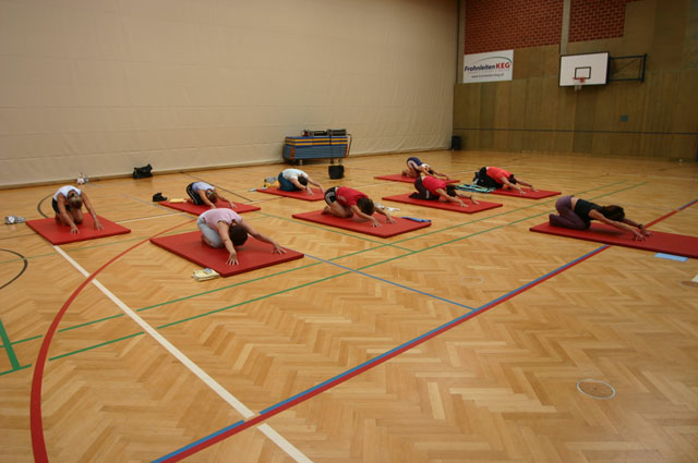 doe2008_220