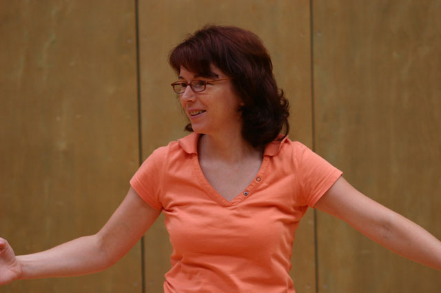 doe2008_230