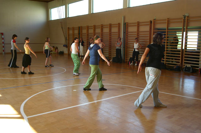 doe2008_241