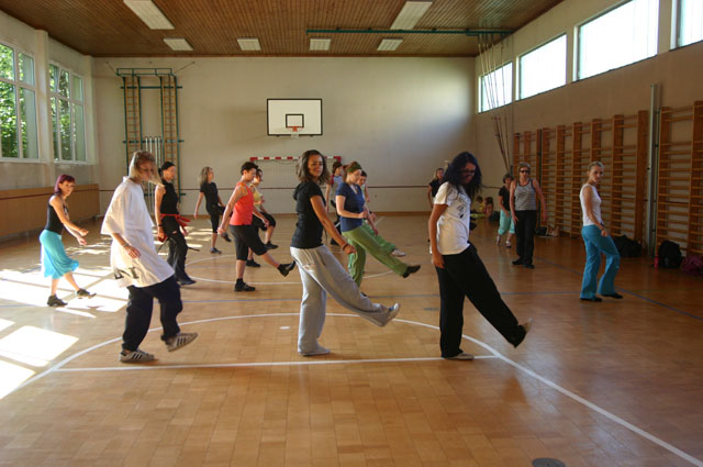 doe2008_245